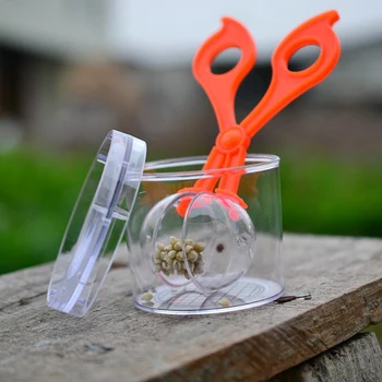 Gyermek Iskolai növény Rovarbiológiai tanulmányi eszközkészlet Műanyag ollós szorító csipesz Aranyos természetfelfedező játékkészlet gyerekeknek