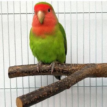 Madár sügér állvány Fa kisállat papagáj csiszoló karom játék papagáj fa ág pihenő tartó Csörgő harapás kellékek Madárketrec kiegészítők