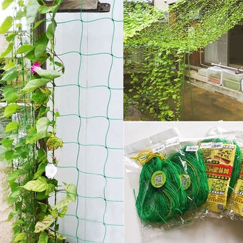 Műanyag nylon kerti növény Pergola 1,8 * 3,6 M nettó 10CM rács millipórus borostyán mászó keret otthoni kertészeti háló gyümölcsnövények kerítés
