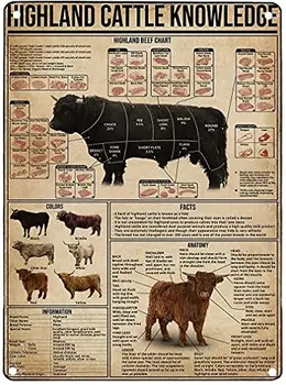 Felvidéki szarvasmarha tudás Retro fém ón jel Highland és marhahús diagram nyomtatás Plakát Szórakozás Bár Étterem Konyha Gara