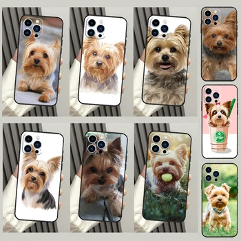 Yorkshire Terrier kutyakutya tok iPhone 15-höz 11 12 13 14 Pro Max 7 8 Plus XS X XR SE 2020 2022 12 13 Mini hátlap